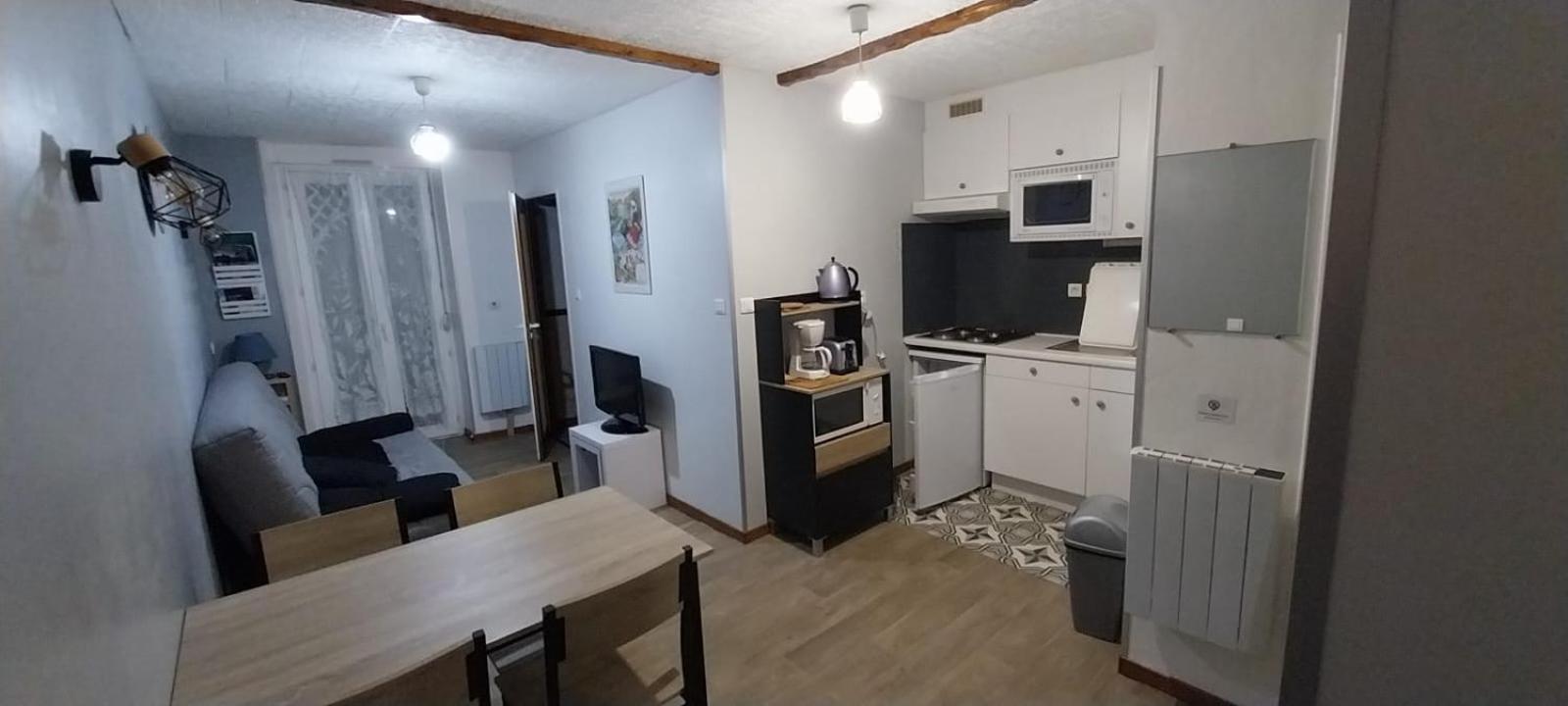 Plein Centre Apartment